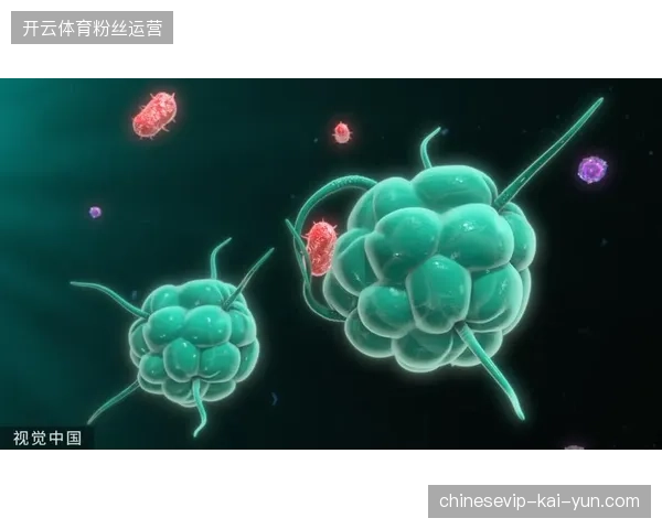 纳格尔斯曼战术试验意图明显，德国队前场人员组合存多种可能性